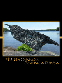 the uncommon common raven metal sculpture by canadian sculptor hilary clark cole