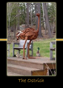the ostrich steel sculpture by canadian sculptor hilary clark cole