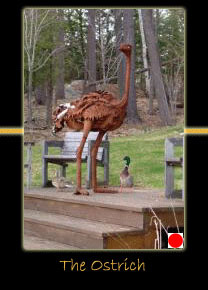 the ostrich steel sculpture by canadian sculptor hilary clark cole